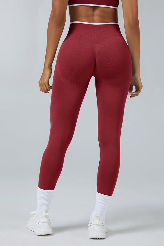 Seamless High-Waist Yoga Leggings - Quick-Dry Performance Tights Snapicks