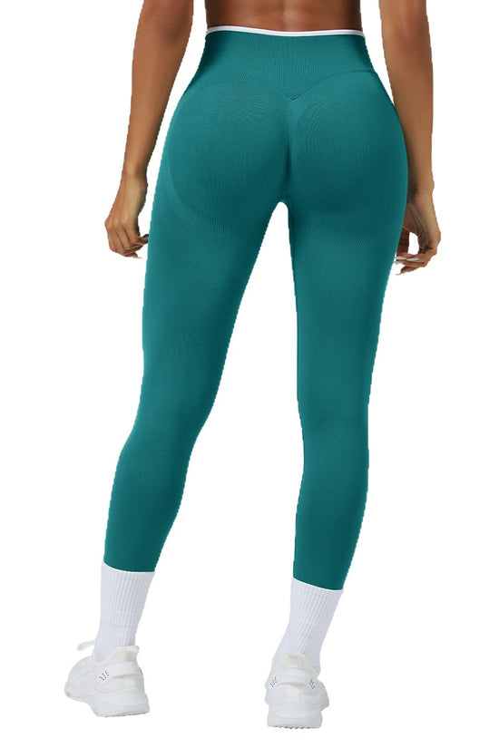 Seamless Knitted Tight High Waist Quick-drying Sports Yoga Pants Snapicks