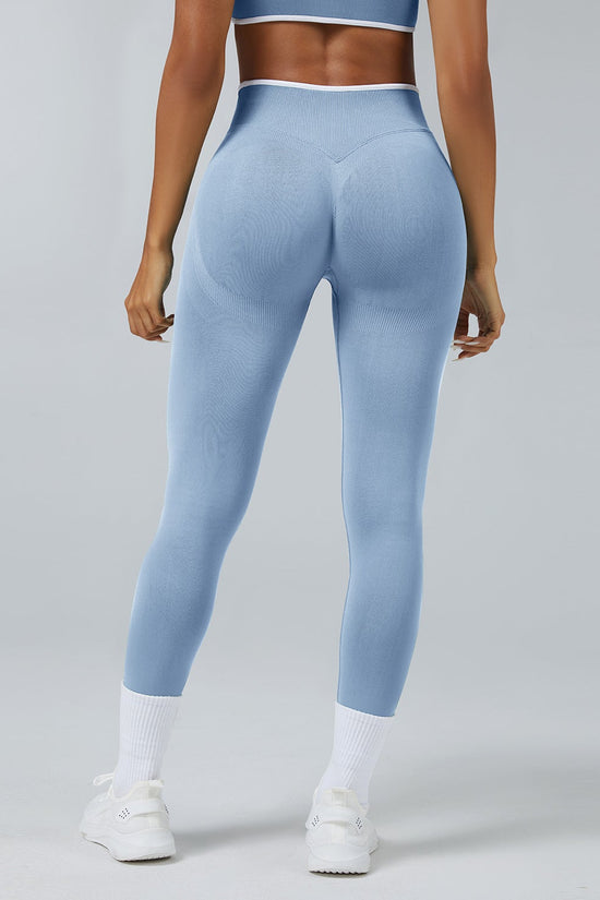 Seamless High-Waist Yoga Leggings - Quick-Dry Performance Tights Snapicks